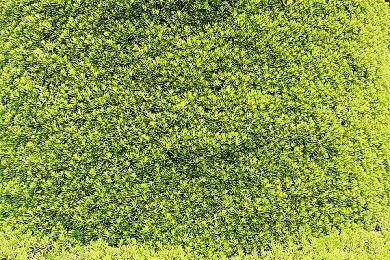 外媒精选2025年值得游玩的30款游戏 你最期待哪款